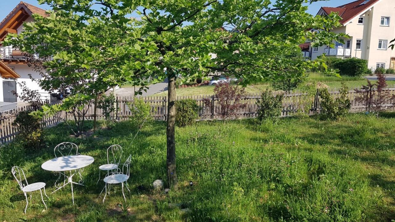Historisches Fachwerkhaus "Hoher Hirschen" - Stilvolles Studio Und Museales Apartment Mit Romantischem Hof Und Garten Ludwigshafen am Bodensee Kültér fotó