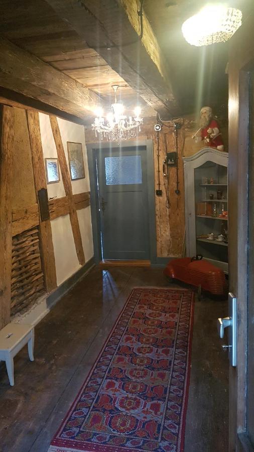 Historisches Fachwerkhaus "Hoher Hirschen" - Stilvolles Studio Und Museales Apartment Mit Romantischem Hof Und Garten Ludwigshafen am Bodensee Kültér fotó